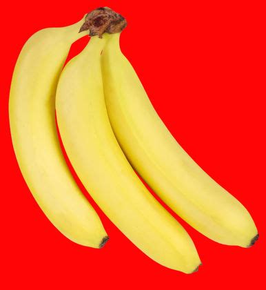 250 Banana bunch Stock Pictures, Editorial Images and Stock Photos ...