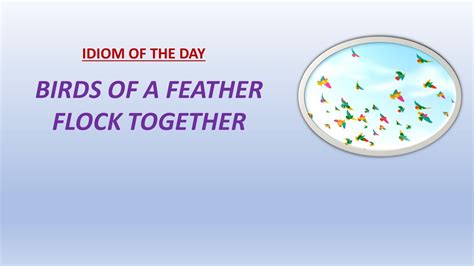 【IDIOM OF THE DAY】-- BIRDS OF A FEATHER FLOCK TOGETHER - YouTube