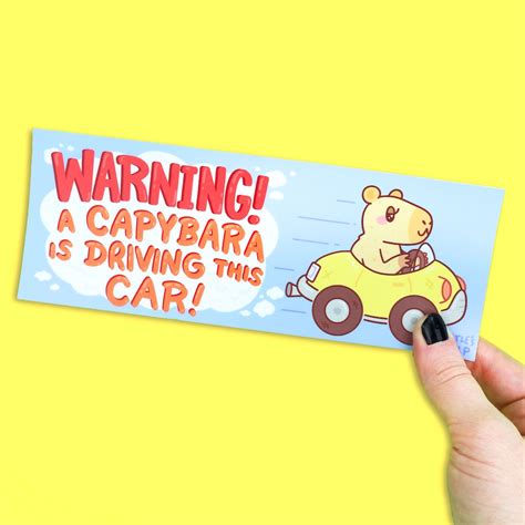 Warning, A Capybara is Driving This Car, Funny Capybara Bumper Sticker, Bumper Sticker, Car ...