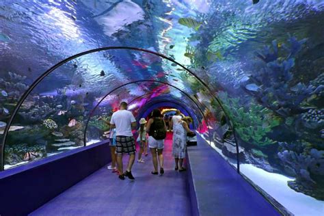 Antalya: Aquarium Entrance Ticket & Optional Transfer | GetYourGuide