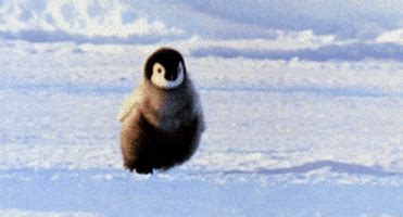 Dat Waddle GIF - Find & Share on GIPHY