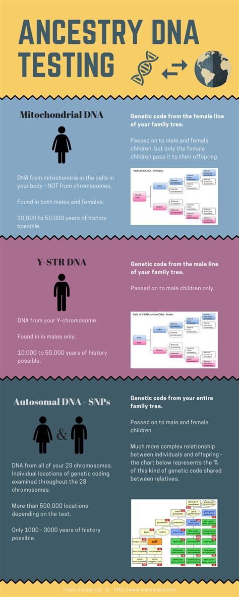 Ancestry DNA Testing Info [Infographic]