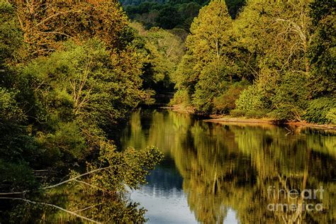 Morning Light on Gauley River Photograph by Thomas R Fletcher - Pixels