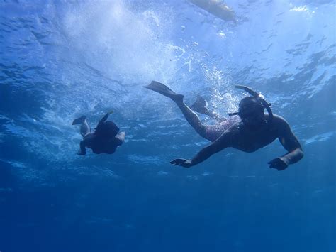 Semi Private Snorkeling Tours | Maui Pacific Tours