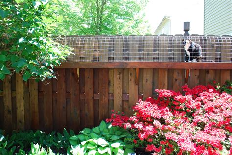 Easy DIY Cat Enclosure to keep your indoor cats happy and safe