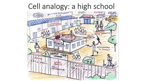 Cell Analogy Project Use an analogy to create an artistic piece of ... - Worksheets Library