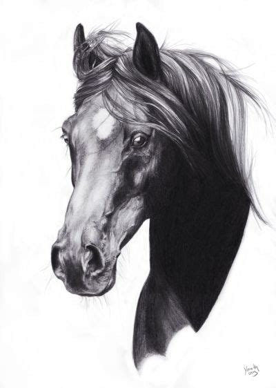 Horse pencil sketch | room | Pinterest | Horse head drawing, Horse painting, Abstract horse art