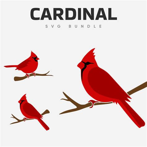 Cardinal SVG Bundle | Master Bundles