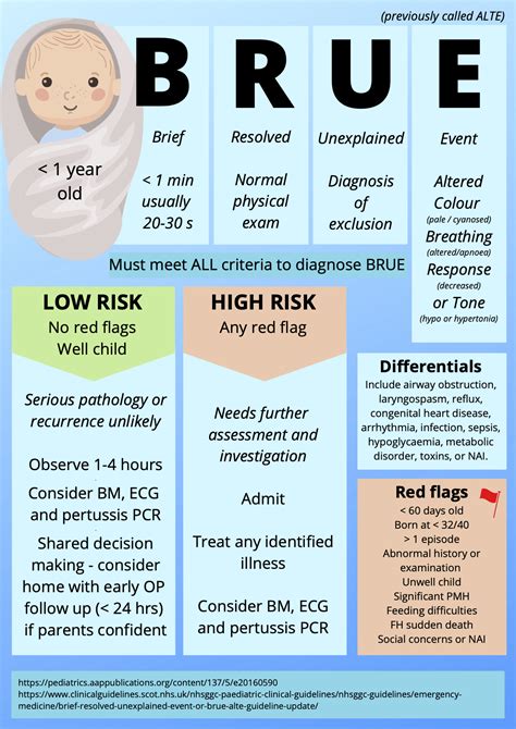 BRUE - PEM Infographics