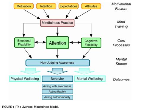 The Positive Effects Of Meditation That Are Proven By Science – Inspiyr.com