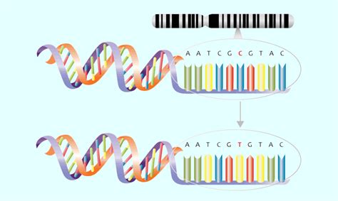 About the EES – Extended Evolutionary Synthesis