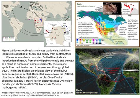 The distribution of filoviruses relative to my prediction model for ...