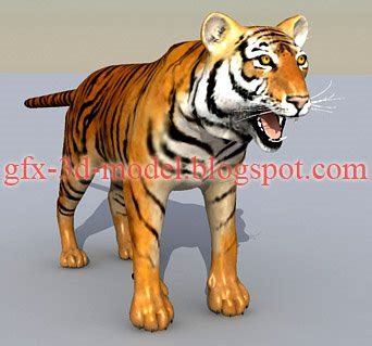 Tiger 3d model