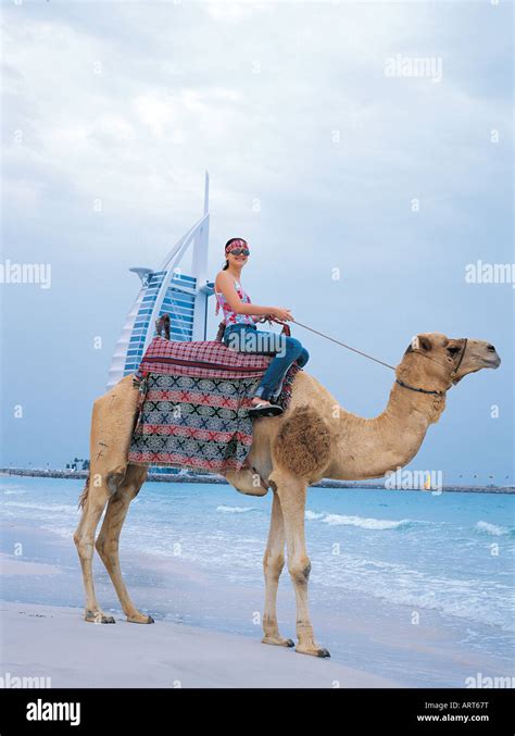 Western tourist riding a camel on the beach in Dubai, United Arab ...