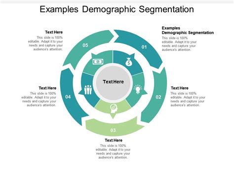 Examples Demographic Segmentation Ppt Powerpoint Presentation Icon Cpb | PowerPoint Templates ...