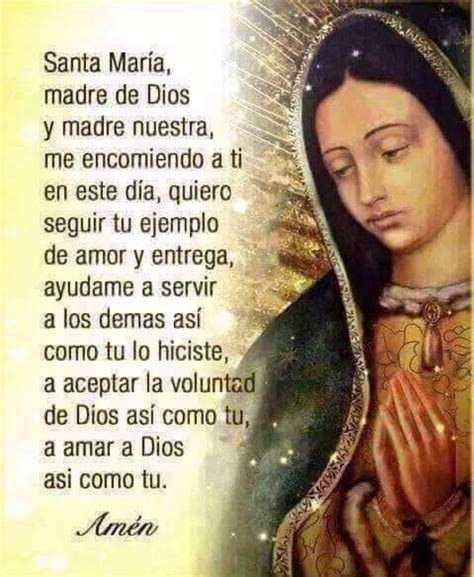 Sintético 105+ Foto Imagenes De La Virgen De Guadalupe Y Jesus Mirada Tensa