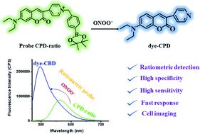 A novel ratiometric fluorescent probe for highly sensitive and selective detection of ...