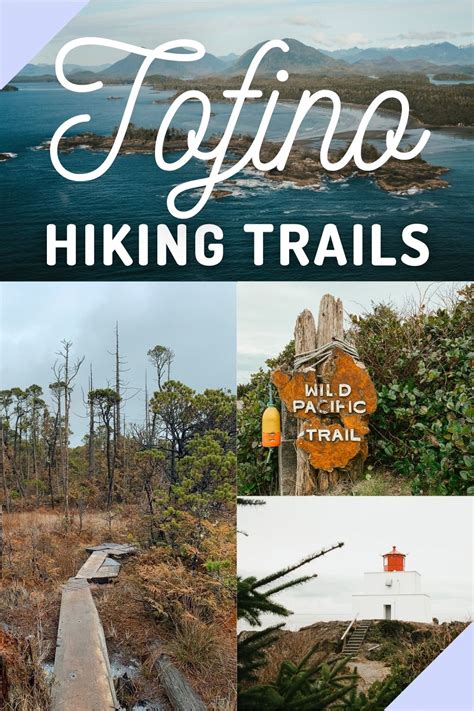 17 Best Tofino Hiking Trails: A Hiker's Guide to Tofino, Ucluelet and Pacific Rim National Park