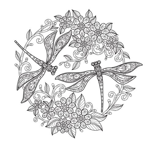 Digital Printable Beautiful Dragonfly Coloring Pages Medium Difficulty Details 3 Pages - Etsy