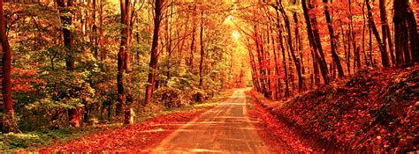 Fall / Autumn - Autumn Path - Free Facebook Covers