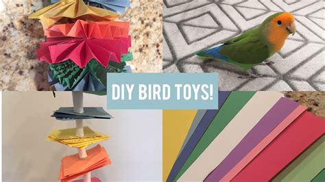 DIY Parrot Toys! - YouTube