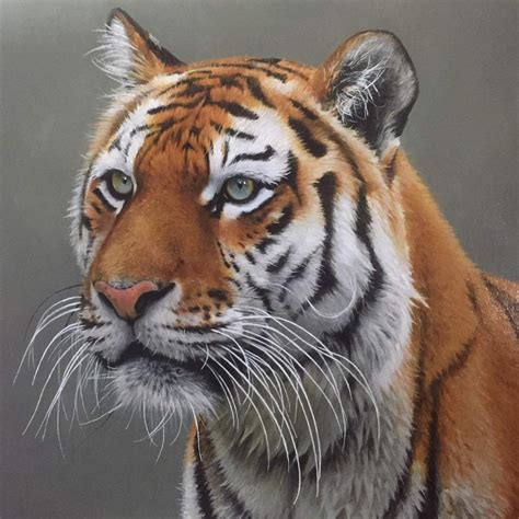 Tiger. Acrylic on canvas. | Art Amino