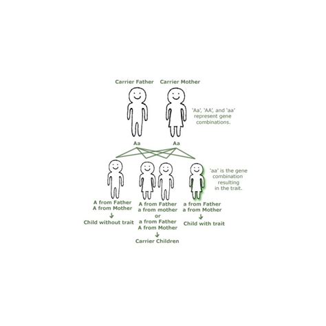 Hereditary Traits - STEM Clearinghouse