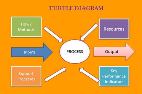 Turtle Diagram For New Development