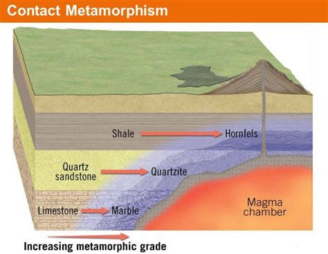 Types of Metamorphism | Gelogia