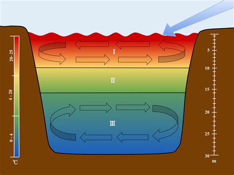 Thermocline - Wikipedia | Fishing techniques, Trout, Going fishing