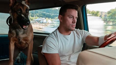 Channing Tatum: Dog star on his return to acting | Herald Sun