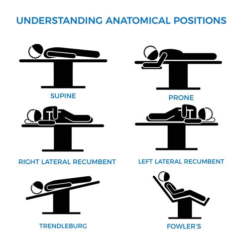 Surgical Table Considerations & Anatomical Positioning | Skytron, LLC