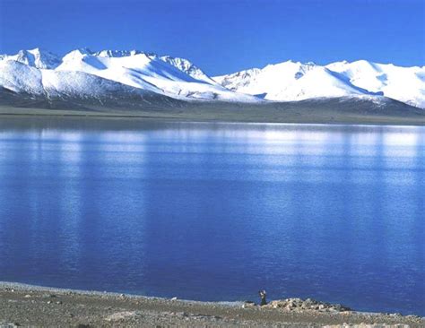 Improved ecosystem at China’s largest saltwater lake, Qinghai lake ...