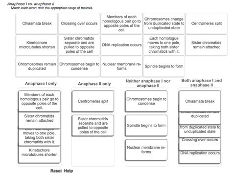 Solved: Anaphase I Vs. Anaphase II Match Each Event With T... | Chegg.com