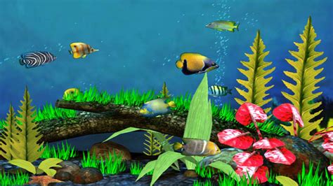 3D Tropical Fish Desktop Wallpapers - WallpaperSafari