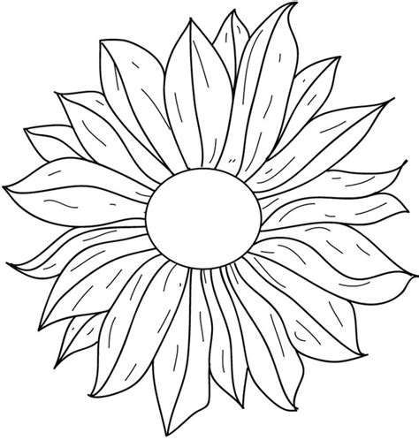 Flower line drawing Vectors graphic art designs in editable .ai .eps ...