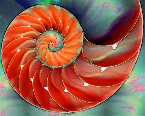 Nautilus Shell Art - Nature's Perfection 2 - By Sharon Cummings Painting by Sharon Cummings