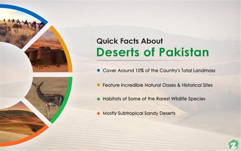 Famous Deserts of Pakistan: Thar, Cholistan, Thal & More | Zameen Blog