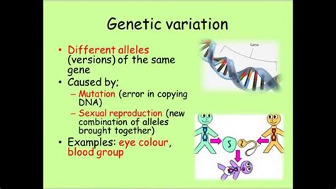 Variation Science