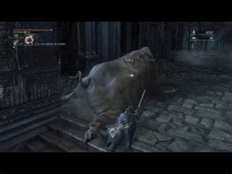 Bloodborne_Pig - YouTube