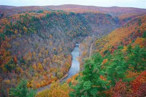 Allegany State Park: Western New York Hiking + Boating