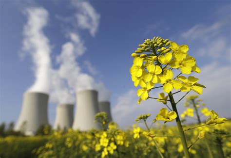 Impact of nuclear energy needs more study before getting green label, EU told | Reuters