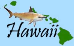 Hawaii – Shark Attack Survivors could be fined $10,000.00 for saving their own life - Shark ...