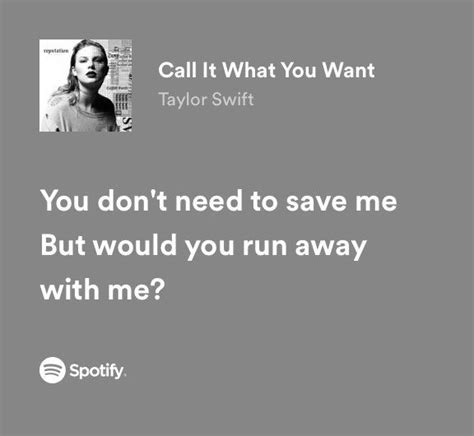 call it what you want | Taylor lyrics, Taylor swift lyrics, Pretty lyrics