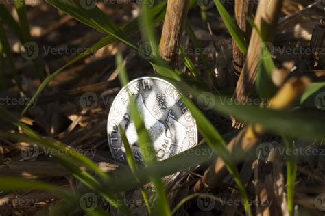 a 50 cent silver coin 9449064 Stock Photo at Vecteezy