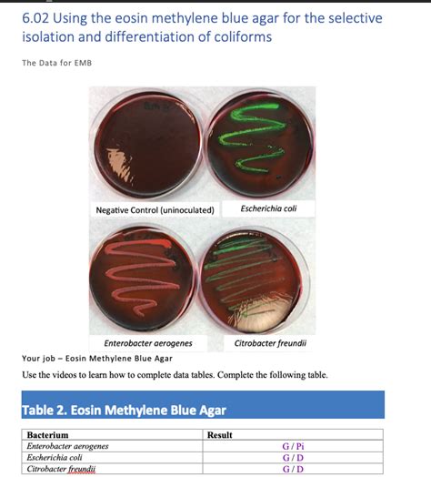 Solved 6.02 Using the eosin methylene blue agar for the | Chegg.com