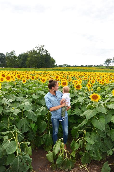 Trip to the Sunflower Farm | Stripes and Whimsy