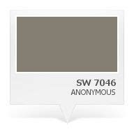TV Room Wall Paint- SW 7046 - Anonymous | Paint Colors in 2019 | Accent wall colors, Room wall ...