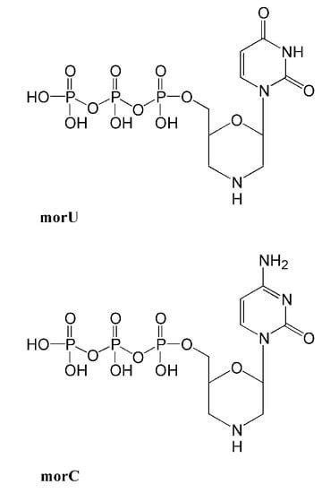 Molecules | Special Issue : Nucleoside Analogues