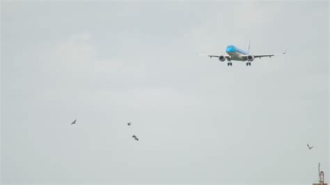 Slow motion plane landing 7537820 Stock Video at Vecteezy